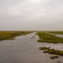 Wattenmeer