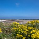 Strand in Californien (Ostsee)