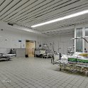 Brier (67 von 167)