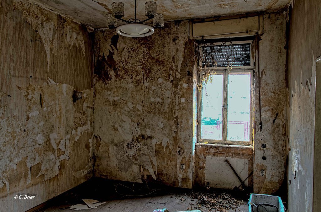 BRIE 20151216 (16 von 40)